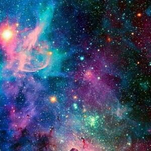 Meet your Posher, Yarlin